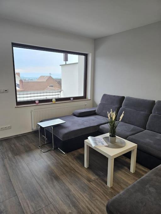 Gemuetliche Ferienwohnung Mülheim-Kärlich المظهر الخارجي الصورة